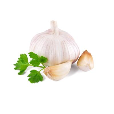 China China Chinese normal garlic 20kg bags fresh fresh garlic garlic for sale wholesale price for sale