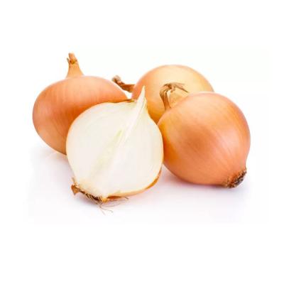 China 7-8cm 5-7cm fresh yellow onion China imports-exports fresh fresh and sweet onion wholesale for sale