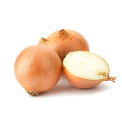 China New Culture 3-5cm Fresh Onion Exporter Grade Natural New Onions Porcelain Yellow Onion for sale