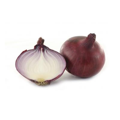 China New Cultivation Red Onion Fresh Vegetables For Supermarket Red Onion 3-5cm Exporter For Supermarket for sale