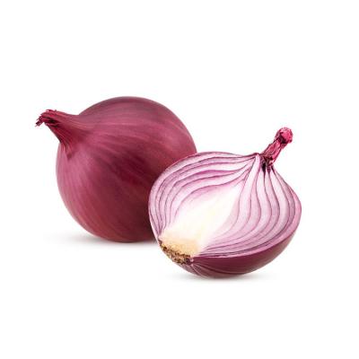 China Natural Red Purple Onion Fresh Red Onion Exporters 5-6cm6-7cm7-8cm5-7cm Small Fresh Onion Exporters In China for sale