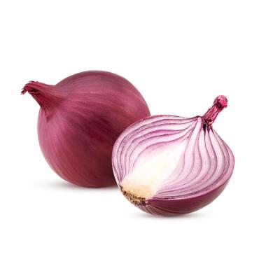 China Best Quality 5-8cm Fresh Onion Exporter Natural Red Purple Onions Pack In Mesh Bag for sale