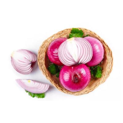 China 8-13cm New Fresh Cultivation Chinese Onion Onions In Mesh Bags Red Onion Price With Cheap Price for sale