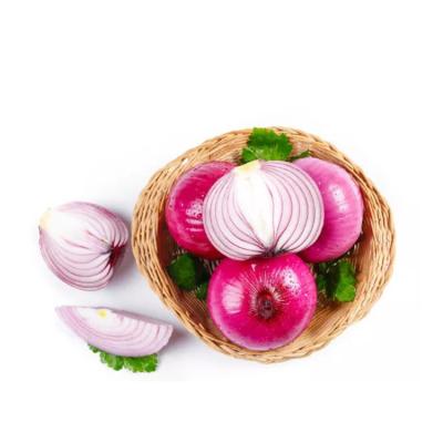 China Fresh Natural Red Purple Red Onions 5-8CM Onions In Mesh Bags Wholesale Fresh Organic Onions On Sale for sale