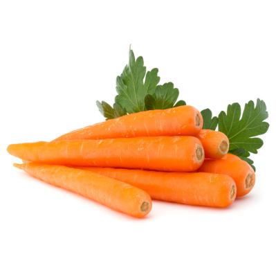 China Best Price Fresh Carrots For Wholesale Export Chinese Natural Fresh Carrots for sale