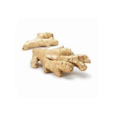 China Fresh the fine quality price of Ginger Bulk Fresh Ginger fresh for sale