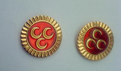 China Metal pin, lapel pin, football pin, emblem, enamel badge, printing badge, plating bagde for sale