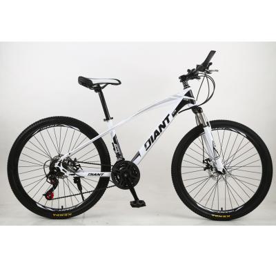 China Steel In Stock 2021 Popular 24 Inch Cycle Bicycle Carbon Steel MTB Bike Bicycles for sale