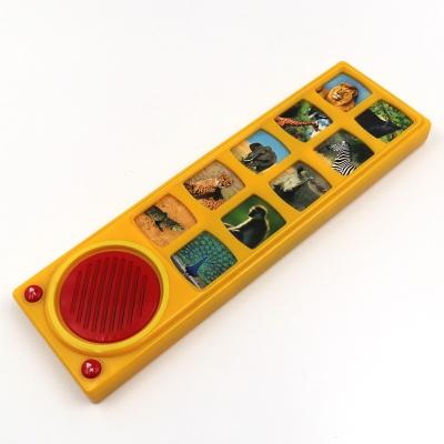 China Electronics Toy Sound Module 10 Push Buttons For Animal Book Factory Sound Volume RDL-BK05 for sale