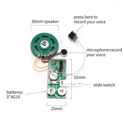 China Custom Sound Recordable Europe IC and Voice Recorder Module, 30 Seconds Recording Sound Chips for Greeting Cards for sale