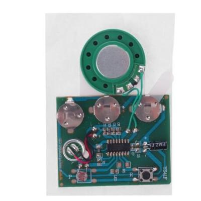 China Photosensitive Sound Audio Sound Recorder Recordable Chip Europe Music Programmable Music Board Module For Handmade Greeting Card for sale