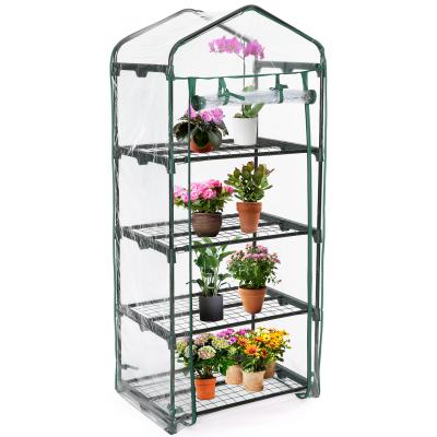 China Easily Assembled PVC Metal Steel Frame 4 Tier Mini Greenhouse Indoor Outdoor Garden Greenhouse for sale