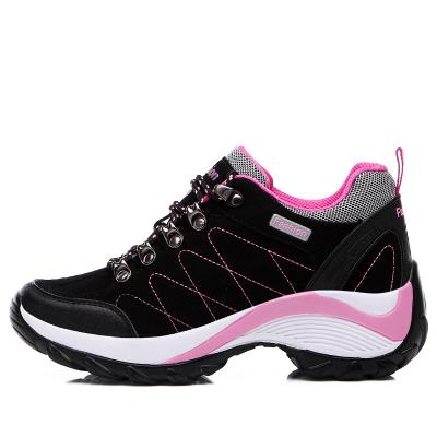 China Breathable Hot Selling Hiking Shoe Women's Tow Running Shoes Hiking Sneakers With Low Price for sale