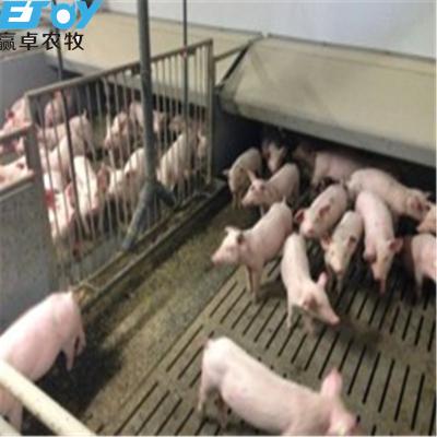 China Save Breeding Cost New Design Pig Fatten Crate For Pig Feeding Equipment for sale