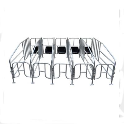 China Easily Assembled Hot Dip Galvanized Pig Gestation Crate Stall Pen Sow Stall for sale