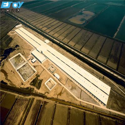 China One Stop Service Turn Key Solution for Pig Farm for sale