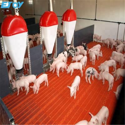 China Automatic feeding system for pig farm 100kg wet and dry trough feed pig feeder with low price pig breeding equipment feeder pig for sale