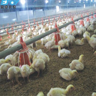 China Outstanding Farm Quality Modern Designed Automated Poultry House for sale