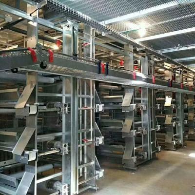 China Fully Automatic Poultry Chicken Layer Cage System H Type Layer Hen Cages Equipment for sale