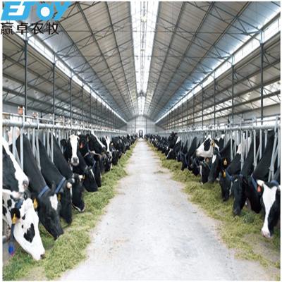 China One Stop Service Dairy Construction Tower Key Solution for sale