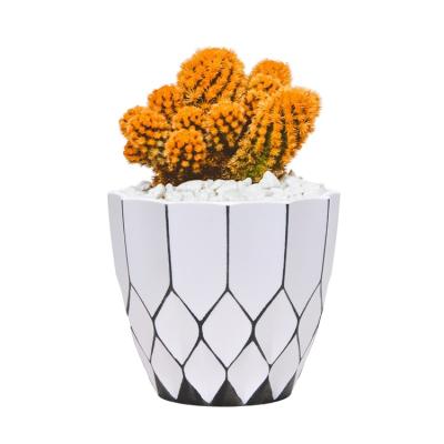 China Hot-selling New Modern Diamond Shaped Porcelain Flower Pot Pad Home Accessories Ornaments Green Plant Desktop Potted Flower Pot for sale