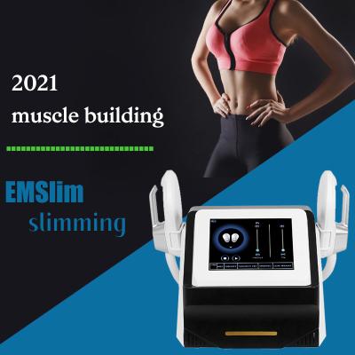 China Skin Tightening 2021 Christmas EMS Body Sculpting Machine Muscle Building Slimming Machine Femsculpting for sale