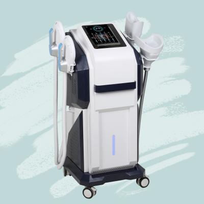 China 2022 popular weight loss body machine in EMS fitness cryo freezing wholesale price for sale