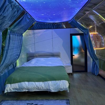 China Tienda Diy Bubble Tenda oval de policarbonato infinitamente extendida Casa de cúpula para Glamping Hotel con baño Sala de cúpula Tienda de iglú en venta