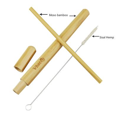 China 100% Eco Degradable Moso Bamboo Drinking Straw With Tube And Sisal Bamboo Hemp Eco-friendly Cleaning Brush for sale