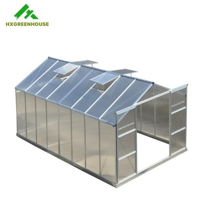 China Lightweight Chinese Greenhouse Leaf Green House Porcelain Metal Frame Plastic Garden Greenhouse Kitsets for sale