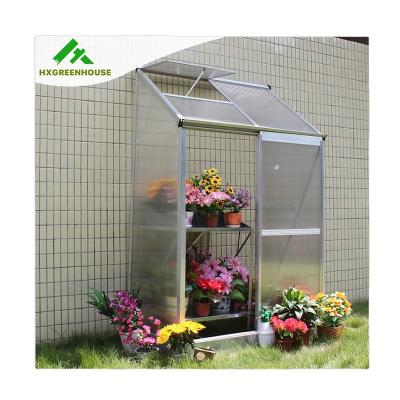 China Easily Assembled Hot Sale Garden House / Mini Lean-to Greenhouse for sale