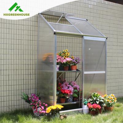 China Easily Assembled Backyard Flowers Planting Polycarbonate Lean-To Small Garden Greenhouse HX64312 for sale