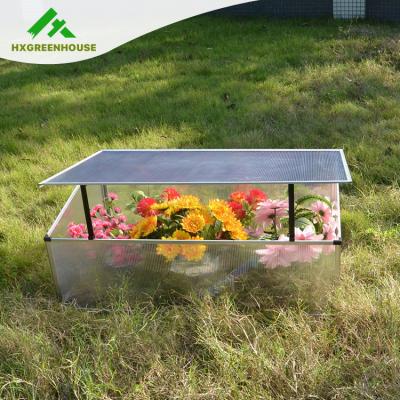 China Easily Assembled Plastic Grow Tent Complete Kit For Garden Flowers HX63222-1P for sale