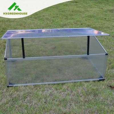 China Easily Assembled Mini Garden Greenhouses For Vegetables Used For Sale HX63242P for sale