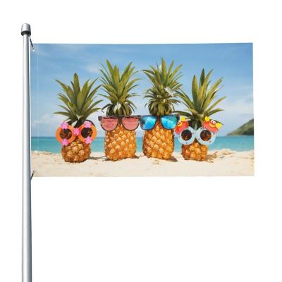 China Custom Washable Standard Cute Flag 3x5 ft Pineapple Polyester Hanging Banner With 2 Grommets For Outdoor Indoor Decoration for sale