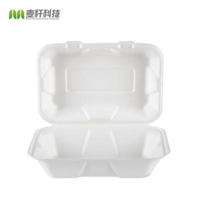 China 2021 Pulp FREE PLASTIC Biodegradable Tableware Eco Friendly Tableware Biodegradable Food Containers for sale