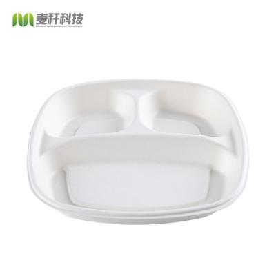 China Disposable Compostable Biodegradable Tableware Tray Plate Dish Rectangle Paper Sugarcane Disposable Eco-Friendly Bagasse Products 9 inch for sale