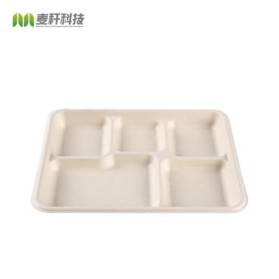 China Disposable Biodegradable Tableware Rectangle 5 Division Meal Snack Tray for sale