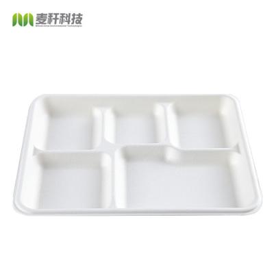 China Disposable Compostable Sugar Cane Low Tray Lunch Serving Trays for sale