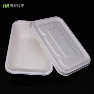 China Biodegradable Biodegradable Sugarcane Bagasse Disposable Food Tray With Lid for sale