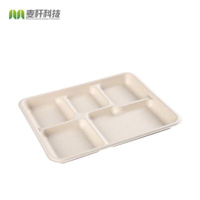 China Disposable Food 50000pcs Sugarcan Fiber Rectangle Dish Tray Bagasse Natural Hot Selling Fiber 5 Section Disposable Compartment for sale