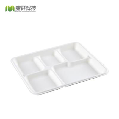 China 5 Section Disposable Dessert Dishes Biodegradable Compostable Sugarcane/Bagasse and Bamboo Fiber Paper Plate for sale