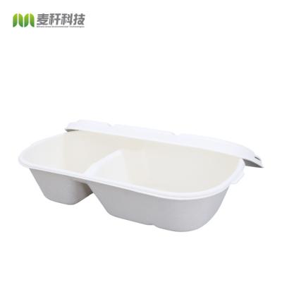 China New disposable item biodegradable sugarcane paper pulp food packaging meal 2 section dinner container with lid for sale