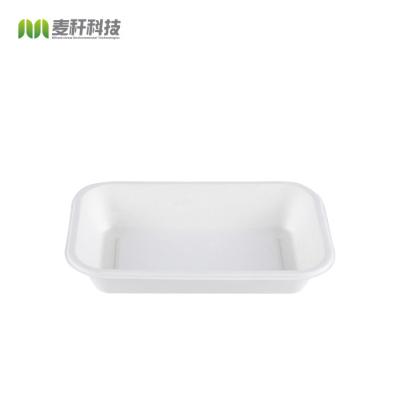 China 2022 Waterproof Sugarcane FREE PLASTIC Biodegradable Disposable Bagasse Food Fruit Trays for sale