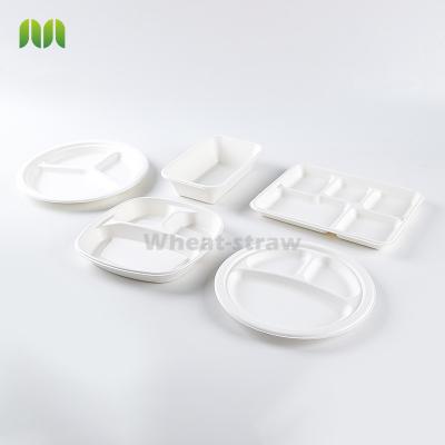 China Disposable Biodegradable Sugarcane Bagasse Packing Trays Rectangular Dish Rectangle Food Customized Model Engraving 4000 for sale