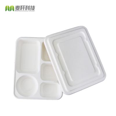 China Eco Friendly Disposable Restaurant Sugar Cane Food 5-Compartment Disposable Tray for sale