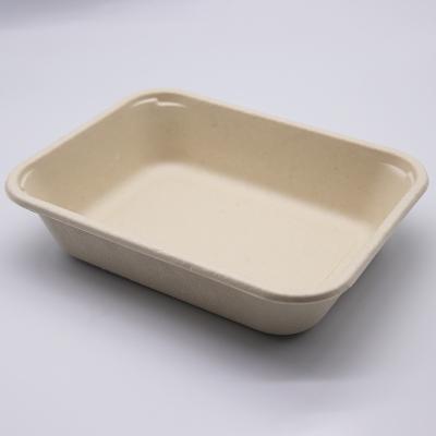 China Disposable Compostable Sugar Cane Low Tray Lunch Serving Trays for sale