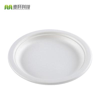 China Sugar Steak Cane Bagasse Disposable Snack Disposable Biodegradable Fast Food Dishes Round Rectangular Square Oval for sale