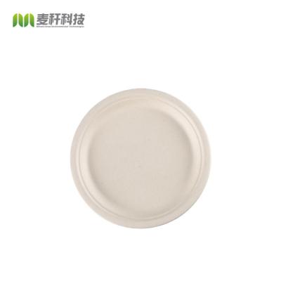 China Disposable Biodegradable Sugarcane Bagasse Paper Plate Pulp Fiber Round Pizza Plate Disposable Food Customized Model for sale