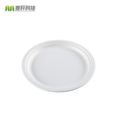 China Disposable Round Disposable Sugar Cane Disposable Natural Bagasse Dishes Eco Friendly Environmental Paper Plate for sale